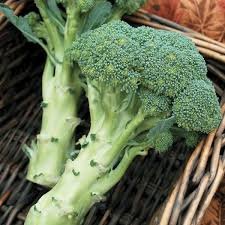 Fresh Broccoli